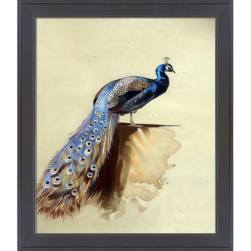 La Pastiche Peacock with Gallery Black, 24" x 28"