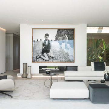 Contemporary Living Room