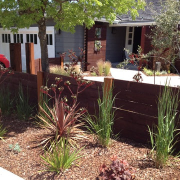 Contemporary Front Yard