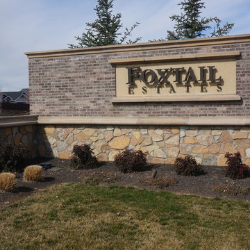 Endwood Shadowbox - Boise Foxtail