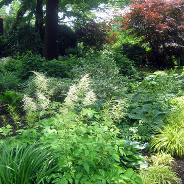 u2014 ALE: Fishers Woodland Garden