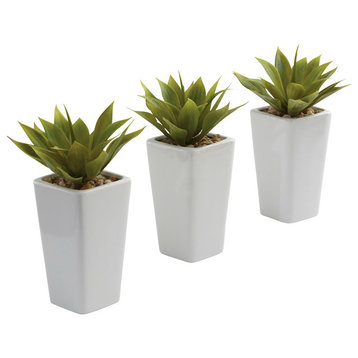 Mini Agave With Planter , Set of 3White