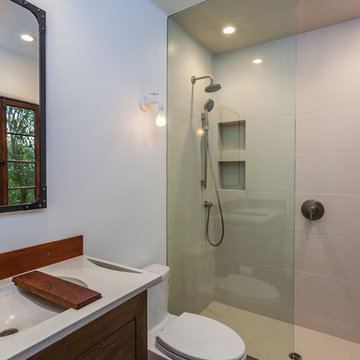 Glass Panel Shower and Wood Vanity