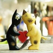 Gift Shop Canadas foto