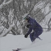 Sarah Sutton's photo