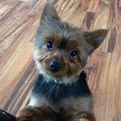 Dianna Waldner's photo