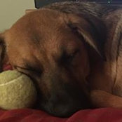 Alison Moilanen's photo