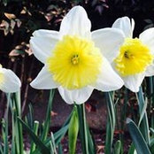 Julie Richard-Utz's photo
