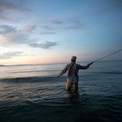 Shelby Masse's photo