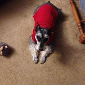Cindy Sizemore's photo