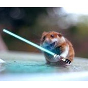 Kingsley Tate's photo