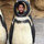 webuser_855528