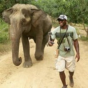 Phil Nwafor's photo