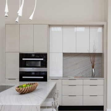 Contemporary with Neutral Colorway in Potomac, MD
