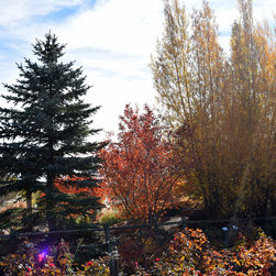 Fossil Creek in the Fall - Products
