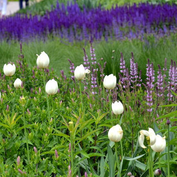 Colorful garden