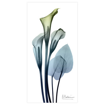 "Calia Lily" Frameless Free Floating Panel Graphic Wall Art, 24"x48"