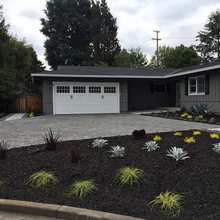 Front yard