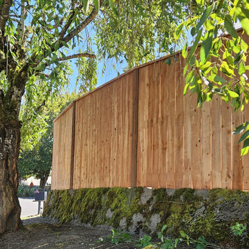 Privacy Fencing