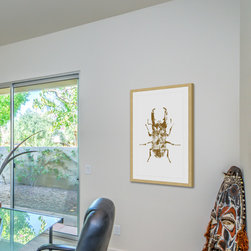 Beetle Gold - Products