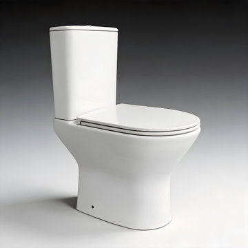 Modern Rimless Toilet Series CT10228 | CE & cUPC Certified