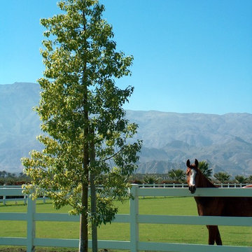 Equestrian Estate