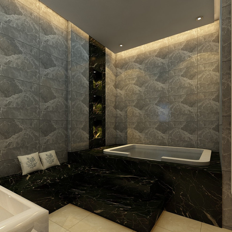 Jacuzzi 3D view