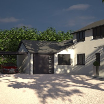 Contemporary house remodel 3D