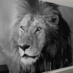 Lion Mural for Bedroom - Wallpaper
