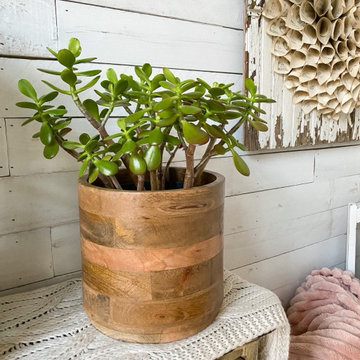 Serene Spaces Living Blogger Image