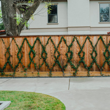 Bellaire - Landscape Design, Installation, Maintenance 2