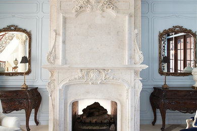 Living room - traditional living room idea in Dallas with a standard fireplace and a stone fireplace