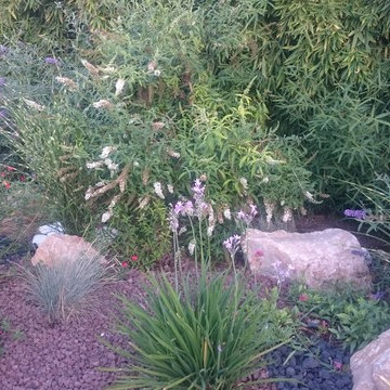 Création d'un jardin