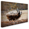 Jai Johnson 'Woolly In Autumn Jacob Sheep' Canvas Art, 24 x 18