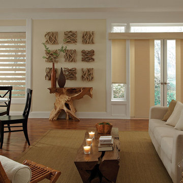 Allure Transitional Shades