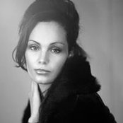 Kerry DiGiovannis foto