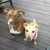 Casey Hostetler's photo