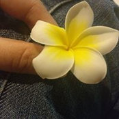 Manasi Sharan's photo