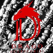 Davide Dragoさんの写真