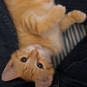Chris Scholz's photo