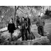 Kim Stewart's photo