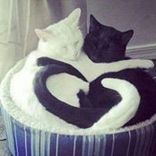 Sara Abou Seada's photo