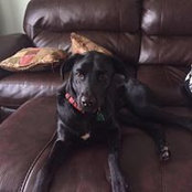 Joe Kafton's photo