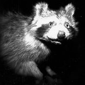 Bill Vaughter's photo