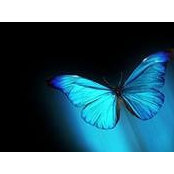 Silvia Maria Moraga's photo