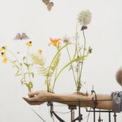 Martina Mulliri's photo