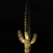 Jon Trimble Sr.'s photo
