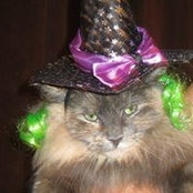 Cynthia Macdonald's photo