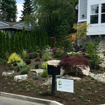 Mercer Island New Build - front yard (after)