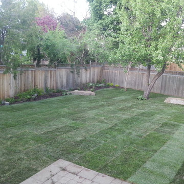 2014 Sodding After Pictures